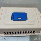 بيت قطه