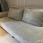 كنب