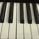 korg pa 1000 oriental mg