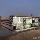 بيت ملكي
