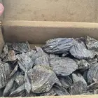 عود كلمنتان طيب ربع كيلو و دهن عود براشين