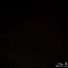 البحث عن استديو او غرفة وصالة للأيجار