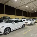 تم وصول دفعه جديدة من سيارات فورد تورس2019(تم البيع)