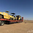 لوبد في القصيم