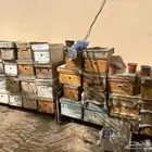 صناديق محل
