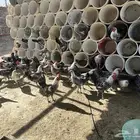 الموقع القريات