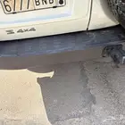 قطع