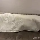 استقبال باسم يوسف