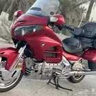 دباب قولدوينق 14