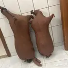 سعن