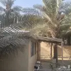 للبيع الخيمة
