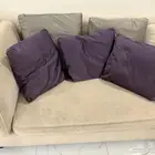 كنب