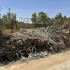 يوجد سعف نخل للبيع