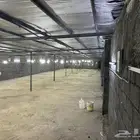 عنبر دواجن للإيجار