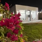 مخيم نواه للأيجار اليومي