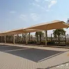 مضلات ودهانات
