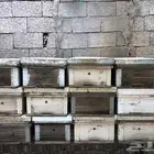 خلايا افرنجي ( بارق )