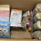 طعام قطط للبيع