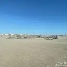 شبك و عمدان