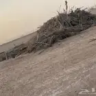 لتواصل جريد ممتاز