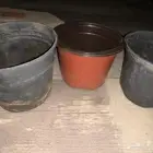 للبيع منتجات زراعيه