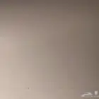 ابحث شقة عوايل غرفتين و صالة
