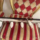 سبوت لايت للمراية