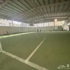 نجيلة ملاعب