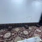 مساند ضهر جديده