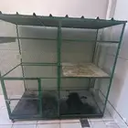 قفص طيور كبير