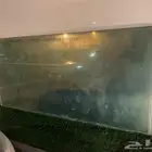 قزاز