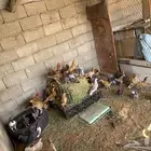 حمام مشكل للبيع