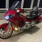 قولدوينق 14 GOLDWING