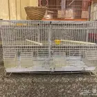للبيع مجموعة قفاصه للطيور مستخدمه