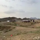 مزرعة واحواش غنم للايجار في محايل عسير