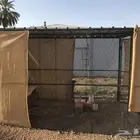 شبك بقلاوه