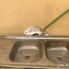 مجلى حوض مطبخ