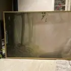 صور من ايكيا