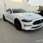 موستنج 20018