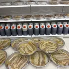 عسل سدر وعسل طلح وعسل سمر