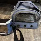 للبيع طيور