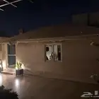 خيمة ملكي مساحة 7 5 نظيفة