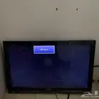 تلفزيون