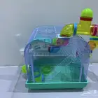 هذا بيت يعيش فيه ام و اب و بنت وعيالها صغار الليتهم ولده