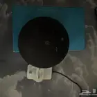 اليكسا echo dot