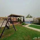 عروض شاليهات الخير بنجران