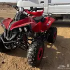 دباب صحراوي صيني