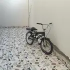سيكل رامبو مستعمل