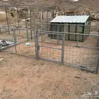 شبوك غنم