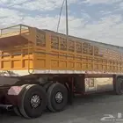 سكس البي وتيدر 12 ونص
